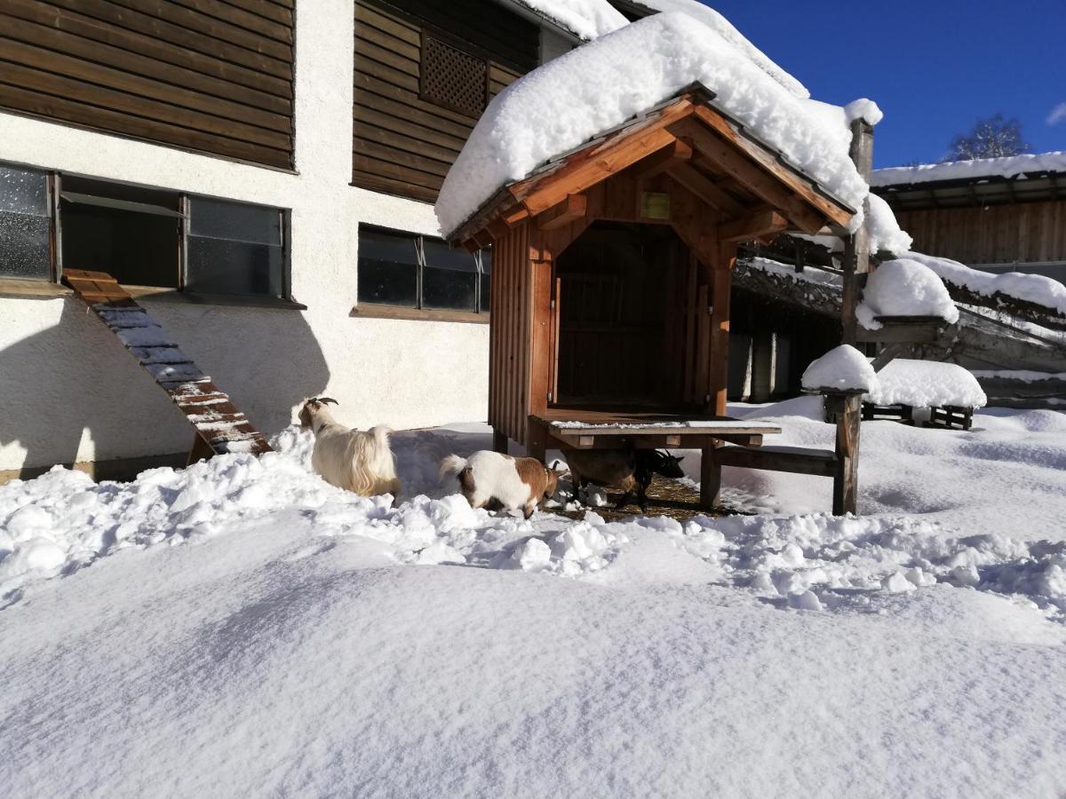 Zweimaederlhaus Apartment Bad Mitterndorf Luaran gambar